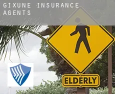 Guiche insurance agents