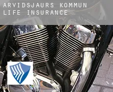 Arvidsjaurs Kommun  life insurance