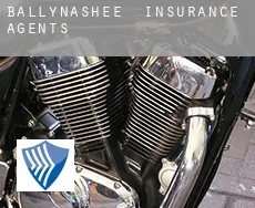 Ballynashee  insurance agents