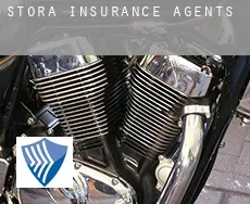 Storå insurance agents