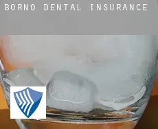 Borno  dental insurance