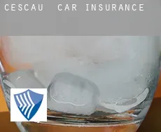 Cescau  car insurance