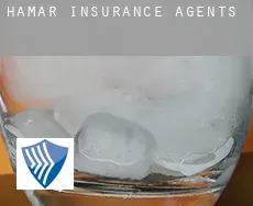 Hamar insurance agents