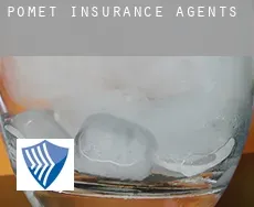 Pomet  insurance agents