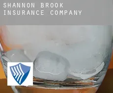 Shannon Brook  insurance company