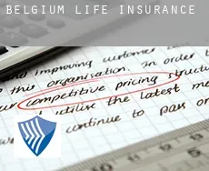 Belgium  life insurance