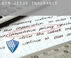 Bom Jesus  insurance