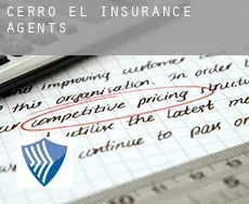 Cerro (El)  insurance agents