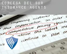 South Corsica  insurance agents