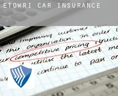 Etowri  car insurance