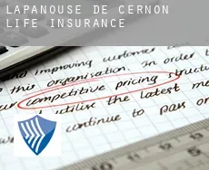 Lapanouse-de-Cernon  life insurance