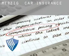 Merzig  car insurance