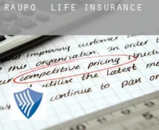 Raupo life insurance