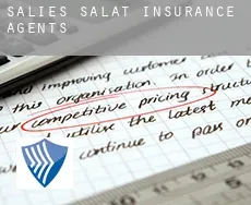 Salies-du-Salat  insurance agents