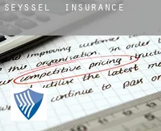 Seyssel  insurance