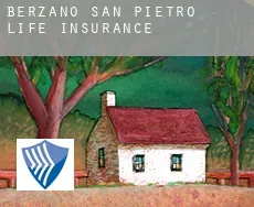 Berzano di San Pietro  life insurance