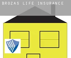 Brozas  life insurance