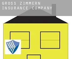 Groß-Zimmern  insurance company