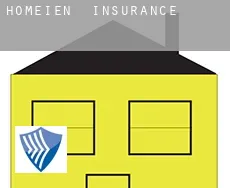 Homeien  insurance