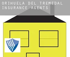 Orihuela del Tremedal  insurance agents