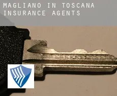 Magliano in Toscana  insurance agents