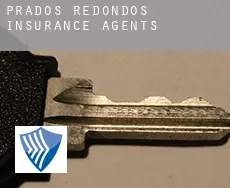 Prados Redondos  insurance agents