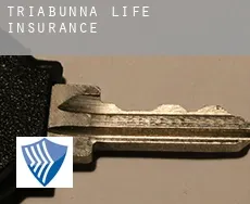 Triabunna  life insurance