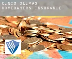 Cinco Olivas  homeowners insurance