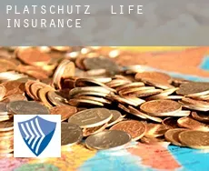 Platschütz  life insurance