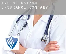 Endine Gaiano  insurance company