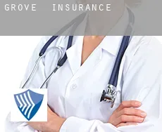 Grove  insurance