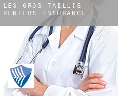 Les Gros Taillis  renters insurance