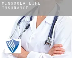 Mingoola  life insurance