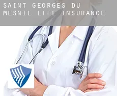 Saint-Georges-du-Mesnil  life insurance