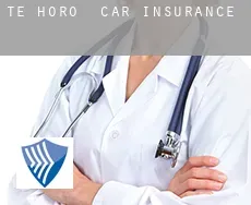Te Horo  car insurance