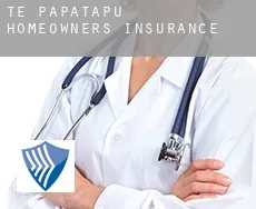 Te Papatapu homeowners insurance