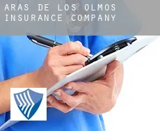 Aras de los Olmos  insurance company