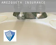 Amezketa  insurance