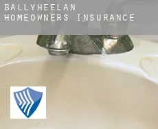 Ballyheelan  homeowners insurance