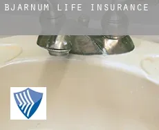Bjärnum life insurance