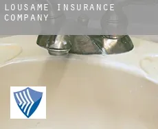 Lousame  insurance company