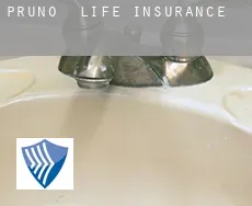 Pruno  life insurance