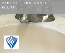 Raheny insurance agents