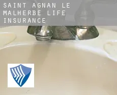 Saint-Agnan-le-Malherbe  life insurance