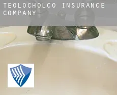 Teolocholco insurance company