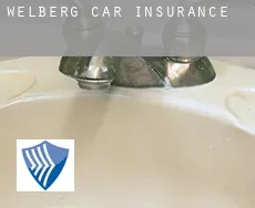Welberg car insurance