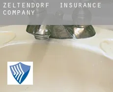 Zeltendorf  insurance company