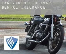 Cañizar del Olivar  dental insurance