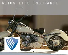 Altos  life insurance