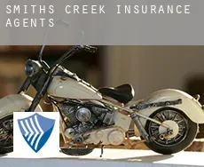 Smiths Creek insurance agents